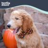 image:imageHuxley amp Kent Pet Bow Tie for Dogs amp Cats  Halloween Adjustable Hook amp Loop Collar Accessory  Cute amp Comfortable for Holidays amp Celebrations  PlaidOLantern SmallCandy Corn