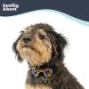 image:imageHuxley amp Kent Pet Bow Tie for Dogs amp Cats  Halloween Adjustable Hook amp Loop Collar Accessory  Cute amp Comfortable for Holidays amp Celebrations  PlaidOLantern SmallHalloween Donuts