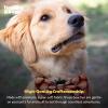 image:imageHuxley amp Kent Pet Bow Tie for Dogs amp Cats  Halloween Adjustable Hook amp Loop Collar Accessory  Cute amp Comfortable for Holidays amp Celebrations  Witchs Brew LargePlaidOLantern