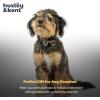 image:imageHuxley amp Kent Pet Bow Tie for Dogs amp Cats  Halloween Adjustable Hook amp Loop Collar Accessory  Cute amp Comfortable for Holidays amp Celebrations  Witchs Brew LargeHalloween Donuts