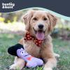 image:imageHuxley amp Kent Pet Bow Tie for Dogs amp Cats  Halloween Adjustable Hook amp Loop Collar Accessory  Cute amp Comfortable for Holidays amp Celebrations  Witchs Brew LargePlaidOLantern