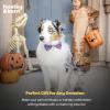 image:imageHuxley amp Kent Pet Bow Tie for Dogs amp Cats  Halloween Adjustable Hook amp Loop Collar Accessory  Cute amp Comfortable for Holidays amp Celebrations  Witchs Brew LargeWitchs Brew