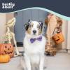 image:imageHuxley amp Kent Pet Bow Tie for Dogs amp Cats  Halloween Adjustable Hook amp Loop Collar Accessory  Cute amp Comfortable for Holidays amp Celebrations  PlaidOLantern SmallWitchs Brew
