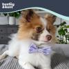 image:imageHuxley amp Kent Pet Bow Tie for Dogs amp Cats  Spring Easter Adjustable Hook amp Loop Collar Accessory  Cute amp Comfortable for Holidays amp Celebrations  Funny Bunny SmallFunny Bunny
