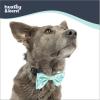 image:imageHuxley amp Kent Pet Bow Tie for Dogs amp Cats  Spring Easter Adjustable Hook amp Loop Collar Accessory  Cute amp Comfortable for Holidays amp Celebrations  Funny Bunny SmallChicks  Eggs