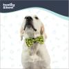 image:imageHuxley amp Kent Pet Bow Tie for Dogs amp Cats  Spring Easter Adjustable Hook amp Loop Collar Accessory  Cute amp Comfortable for Holidays amp Celebrations  Funny Bunny SmallHappy Avacados