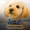 image:imageHuxley amp Kent Pet Bow Tie for Dogs amp Cats  Spring Easter Adjustable Hook amp Loop Collar Accessory  Cute amp Comfortable for Holidays amp Celebrations  Funny Bunny SmallBlueGreen Check