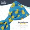 image:imageHuxley amp Kent Pet Bow Tie for Dogs amp Cats  Spring Easter Adjustable Hook amp Loop Collar Accessory  Cute amp Comfortable for Holidays amp Celebrations  Funny Bunny SmallLucky Ducky