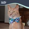 image:imageHuxley amp Kent Pet Bow Tie for Dogs amp Cats  Spring Easter Adjustable Hook amp Loop Collar Accessory  Cute amp Comfortable for Holidays amp Celebrations  Funny Bunny SmallBlue Madras