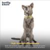 image:imageHuxley amp Kent Pet Bow Tie for Dogs amp Cats  Spring Easter Adjustable Hook amp Loop Collar Accessory  Cute amp Comfortable for Holidays amp Celebrations  Funny Bunny SmallTutti Fruitty