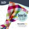 image:imageHuxley amp Kent Pet Bow Tie for Dogs amp Cats  Spring Easter Adjustable Hook amp Loop Collar Accessory  Cute amp Comfortable for Holidays amp Celebrations  Funny Bunny SmallYellowOrange