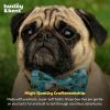 image:imageHuxley amp Kent Pet Bow Tie for Dogs amp Cats  Spring Easter Adjustable Hook amp Loop Collar Accessory  Cute amp Comfortable for Holidays amp Celebrations  Funny Bunny SmallBusy Bees