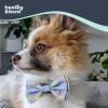 image:imageHuxley amp Kent Pet Bow Tie for Dogs amp Cats  Spring Easter Adjustable Hook amp Loop Collar Accessory  Cute amp Comfortable for Holidays amp Celebrations  Funny Bunny SmallLavender Lemon
