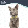 image:imageHuxley amp Kent Pet Bow Tie for Dogs amp Cats  Spring Easter Adjustable Hook amp Loop Collar Accessory  Cute amp Comfortable for Holidays amp Celebrations  Funny Bunny SmallTutti Fruitty