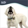image:imageHuxley amp Kent Pet Bow Tie for Dogs amp Cats  Spring Easter Adjustable Hook amp Loop Collar Accessory  Cute amp Comfortable for Holidays amp Celebrations  Funny Bunny SmallSummertime Check