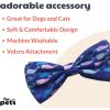 image:imageHuxley amp Kent Pet Bow Tie for Dogs amp Cats  Spring Easter Adjustable Hook amp Loop Collar Accessory  Cute amp Comfortable for Holidays amp Celebrations  Funny Bunny SmallWhale Watch
