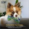 image:imageHuxley amp Kent Pet Bow Tie for Dogs amp Cats  Spring Easter Adjustable Hook amp Loop Collar Accessory  Cute amp Comfortable for Holidays amp Celebrations  Funny Bunny SmallLime Madras