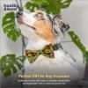 image:imageHuxley amp Kent Pet Bow Tie for Dogs amp Cats  Spring Easter Adjustable Hook amp Loop Collar Accessory  Cute amp Comfortable for Holidays amp Celebrations  Funny Bunny SmallTutti Fruitty