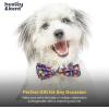 image:imageHuxley amp Kent Pet Bow Tie for Dogs amp Cats  Spring Easter Adjustable Hook amp Loop Collar Accessory  Cute amp Comfortable for Holidays amp Celebrations  Funny Bunny SmallSummer Icons