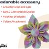 image:imageHuxley amp Kent Pet Pinwheel  Lavender Lemon Small  Spring Collar Accessory for DogsCats  Bow Collar Attachment  Cute Comfortable Accessory  HampK Pinwheel for PetsLavender Lemon