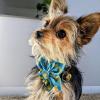 image:imageHuxley amp Kent Pet Pinwheel  Lavender Lemon Small  Spring Collar Accessory for DogsCats  Bow Collar Attachment  Cute Comfortable Accessory  HampK Pinwheel for PetsLucky Ducky