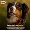 image:imageHuxley amp Kent Pet Pinwheel Bow for Dogs amp Cats  Halloween Adjustable Hook amp Loop Collar Accessory  Cute amp Comfortable for Holidays amp Celebrations  Candy Corn SmallCandy Corn