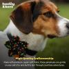 image:imageHuxley amp Kent Pet Pinwheel Bow for Dogs amp Cats  Halloween Adjustable Hook amp Loop Collar Accessory  Cute amp Comfortable for Holidays amp Celebrations  Candy Corn SmallTrick or Treat