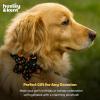 image:imageHuxley amp Kent Pet Pinwheel Bow for Dogs amp Cats  Halloween Adjustable Hook amp Loop Collar Accessory  Cute amp Comfortable for Holidays amp Celebrations  Candy Corn SmallTrick or Treat