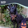 image:imageHuxley amp Kent Pet Pinwheel Bow for Dogs amp Cats  Halloween Adjustable Hook amp Loop Collar Accessory  Cute amp Comfortable for Holidays amp Celebrations  Candy Corn SmallTrick or Treat