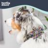 image:imageHuxley amp Kent Pet Pinwheel Bow for Dogs amp Cats  Halloween Adjustable Hook amp Loop Collar Accessory  Cute amp Comfortable for Holidays amp Celebrations  Candy Corn SmallCreepy Candy