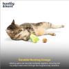 image:imageHuxley amp Kent Plush Cat Toy  Interactive Catnip Toy for Cats amp Kittens  Soft with Crinkle amp Catnip  Fun Indoor Play  Im Sweet LollipopAvocado Popper Cat Toy