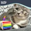 image:imageHuxley amp Kent Plush Cat Toy  Interactive Catnip Toy for Cats amp Kittens  Soft with Crinkle amp Catnip  Fun Indoor Play  Im Sweet LollipopFunfetti Cake