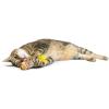 image:imageHuxley amp Kent Plush Cat Toy  Interactive Catnip Toy for Cats amp Kittens  Soft with Crinkle amp Catnip  Fun Indoor Play  Im Sweet LollipopFuzzy Soft Seltzer