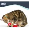 image:imageHuxley amp Kent Plush Cat Toy  Interactive Catnip Toy for Cats amp Kittens  Soft with Crinkle amp Catnip  Fun Indoor Play  Im Sweet LollipopLil Pooper