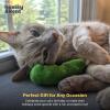 image:imageHuxley amp Kent Plush Cat Toy  Interactive Catnip Toy for Cats amp Kittens  Soft with Crinkle amp Catnip  Fun Indoor Play  Im Sweet LollipopPickle