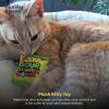 image:imageHuxley amp Kent Plush Cat Toy  Interactive Catnip Toy for Cats amp Kittens  Soft with Crinkle amp Catnip  Fun Indoor Play  Im Sweet LollipopSour Scratch Kats
