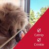 image:imageHuxley amp Kent Plush Cat Toy  Interactive Catnip Toy for Cats amp Kittens  Soft with Crinkle amp Catnip  Fun Indoor Play  Im Sweet LollipopSushi