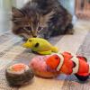 image:imageHuxley amp Kent Plush Cat Toy  Interactive Catnip Toy for Cats amp Kittens  Soft with Crinkle amp Catnip  Fun Indoor Play  Im Sweet LollipopSushi