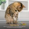 image:imageHuxley amp Kent Plush Cat Toy  Interactive Catnip Toy for Cats amp Kittens  Soft with Crinkle amp Catnip  Fun Indoor Play  Im Sweet LollipopSweetest Fish