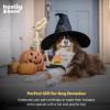 image:imageHuxley amp Kent for Dogs  Sugar Skull Pumpkin  Halloween Power Plush Dog Toy with Squeaker  Funny Dog Toy Gift  Fun Durable and Safe  HampK Squeaky Dog ToysOne Size