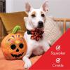 image:imageHuxley amp Kent for Dogs  Sugar Skull Pumpkin  Halloween Power Plush Dog Toy with Squeaker  Funny Dog Toy Gift  Fun Durable and Safe  HampK Squeaky Dog ToysOne Size