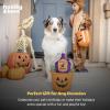 image:imageHuxley amp Kent for Dogs  Sugar Skull Pumpkin  Halloween Power Plush Dog Toy with Squeaker  Funny Dog Toy Gift  Fun Durable and Safe  HampK Squeaky Dog ToysOne Size