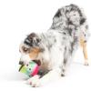 image:imageHuxley amp Kent for Dogs  Sugar Skull Pumpkin  Halloween Power Plush Dog Toy with Squeaker  Funny Dog Toy Gift  Fun Durable and Safe  HampK Squeaky Dog ToysOne Size