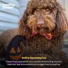 image:imageHuxley amp Kent for Dogs  Sugar Skull Pumpkin  Halloween Power Plush Dog Toy with Squeaker  Funny Dog Toy Gift  Fun Durable and Safe  HampK Squeaky Dog ToysOne Size