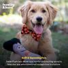 image:imageHuxley amp Kent for Dogs  Sugar Skull Pumpkin  Halloween Power Plush Dog Toy with Squeaker  Funny Dog Toy Gift  Fun Durable and Safe  HampK Squeaky Dog ToysOne Size