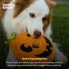image:imageHuxley amp Kent for Dogs  Sugar Skull Pumpkin  Halloween Power Plush Dog Toy with Squeaker  Funny Dog Toy Gift  Fun Durable and Safe  HampK Squeaky Dog ToysOne Size