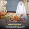 image:imageHuxley amp Kent for Dogs  Sugar Skull Pumpkin  Halloween Power Plush Dog Toy with Squeaker  Funny Dog Toy Gift  Fun Durable and Safe  HampK Squeaky Dog ToysLarge