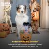 image:imageHuxley amp Kent for Dogs  Sugar Skull Pumpkin  Halloween Power Plush Dog Toy with Squeaker  Funny Dog Toy Gift  Fun Durable and Safe  HampK Squeaky Dog ToysOne Size
