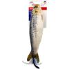 Sardine