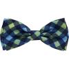 Navy Check